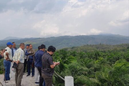 Oil palm tiak siamna tur hmun tlawh Hun hmasa lamah kan tisual – SPB V/C
