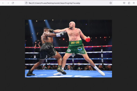 Harsa takin Fury a